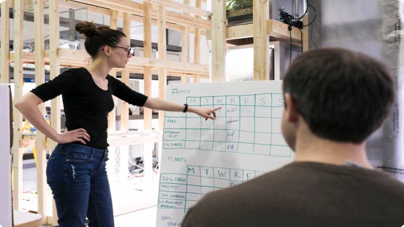 Letsbuildup. org Explained: Features, Purpose, and Benefits